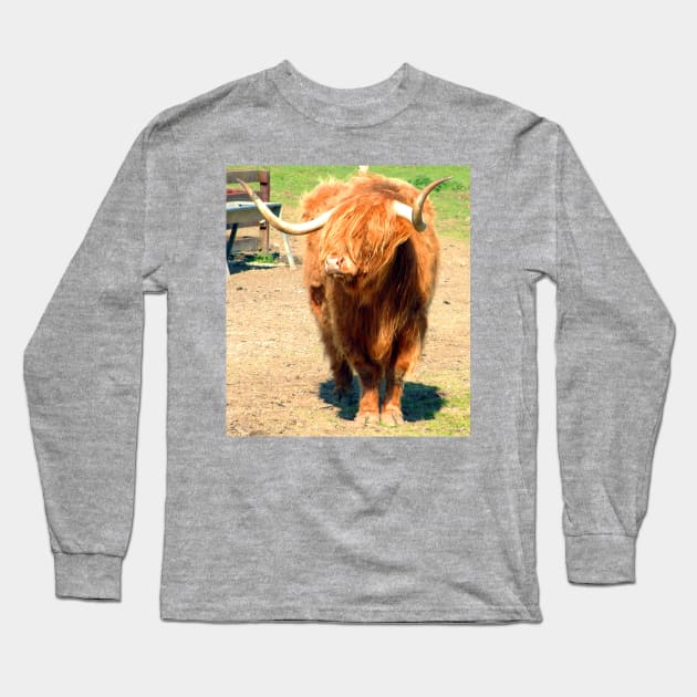 Heilan Coo II Long Sleeve T-Shirt by tomg